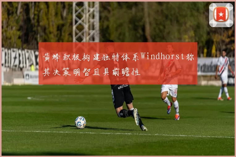 黄蜂积极构建独特体系Windhorst称其决策明智且具前瞻性